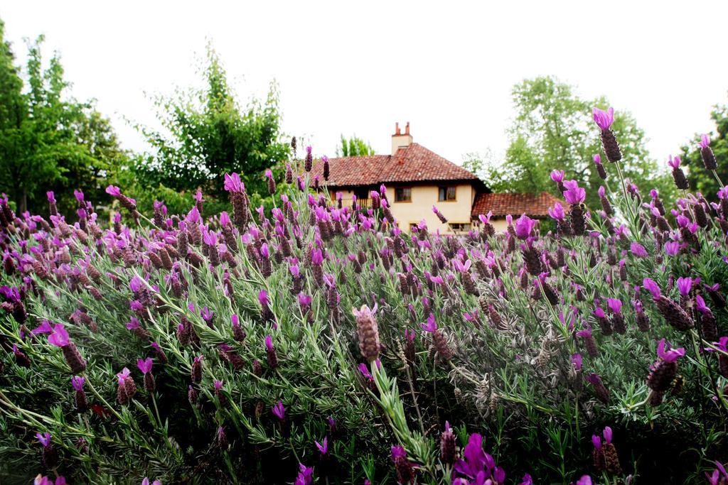 Rancho Caymus