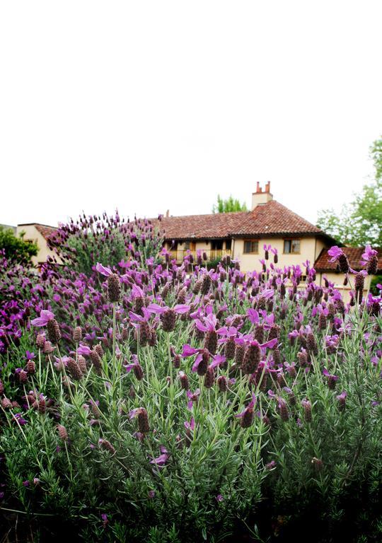 Rancho Caymus Hotel 3*